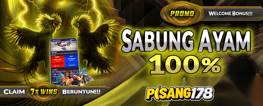 SABUNG AYAM 100%